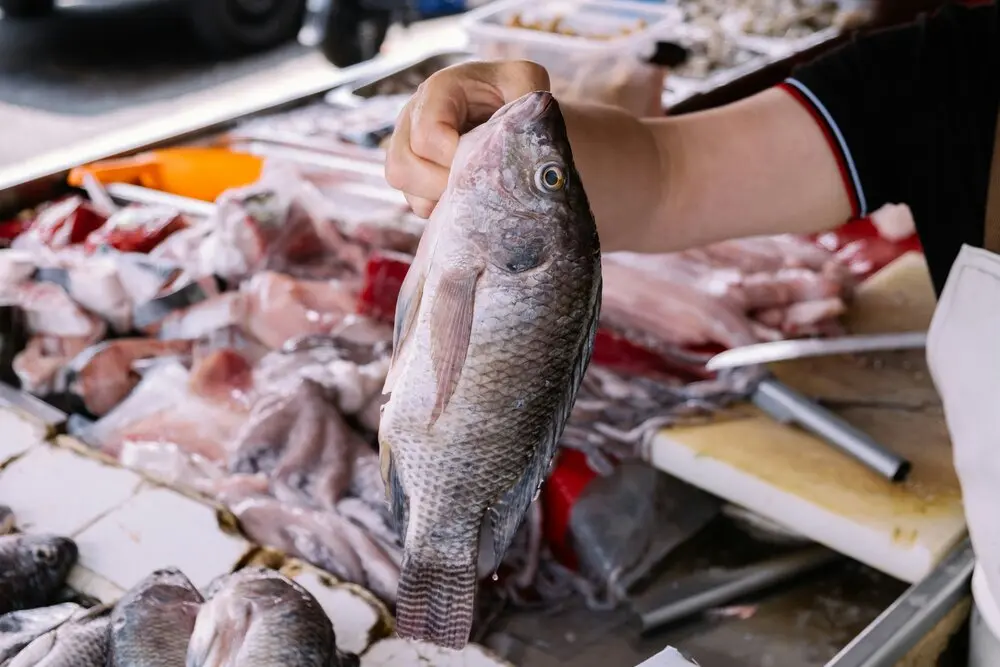 Negombo Fish Market