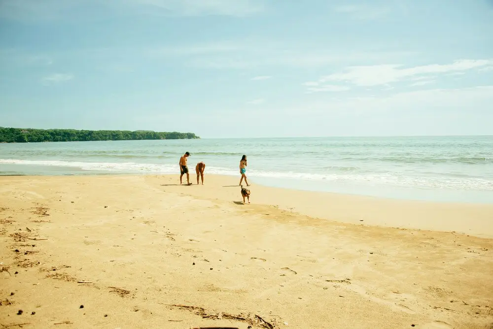 Negombo Beach