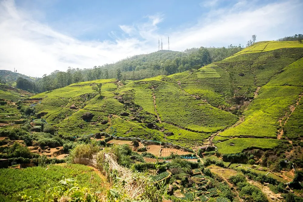 Nuwara Eliya City Tour