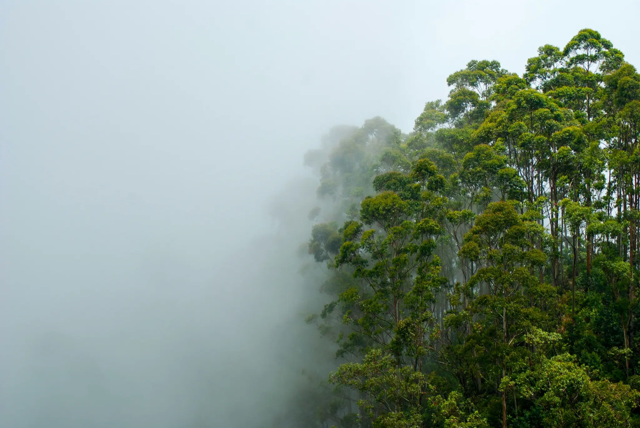Bandarawela, Sri Lanka