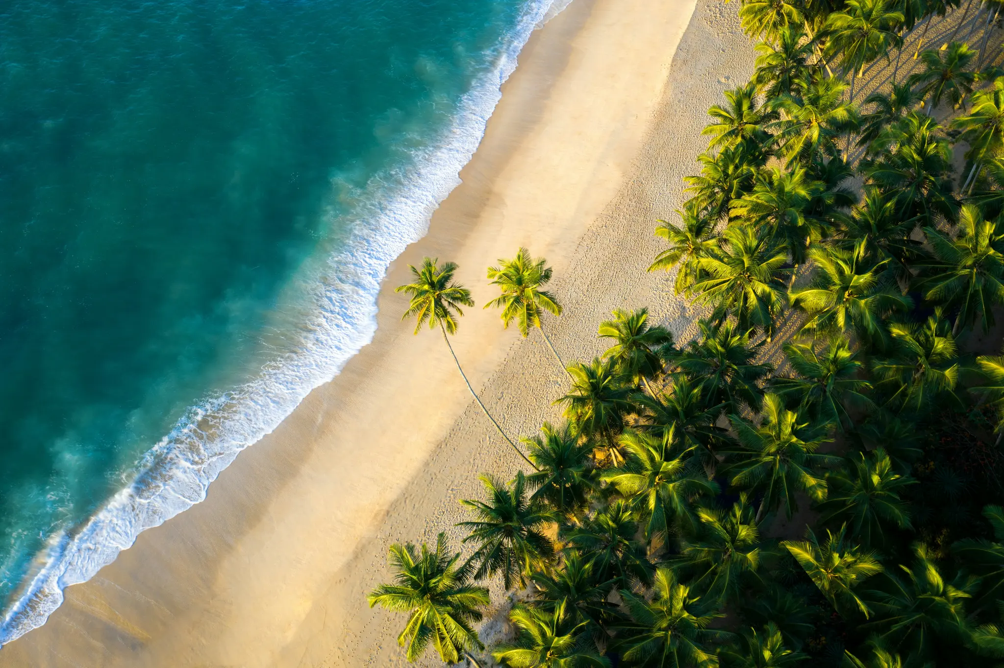 Mirissa, Sri Lanka