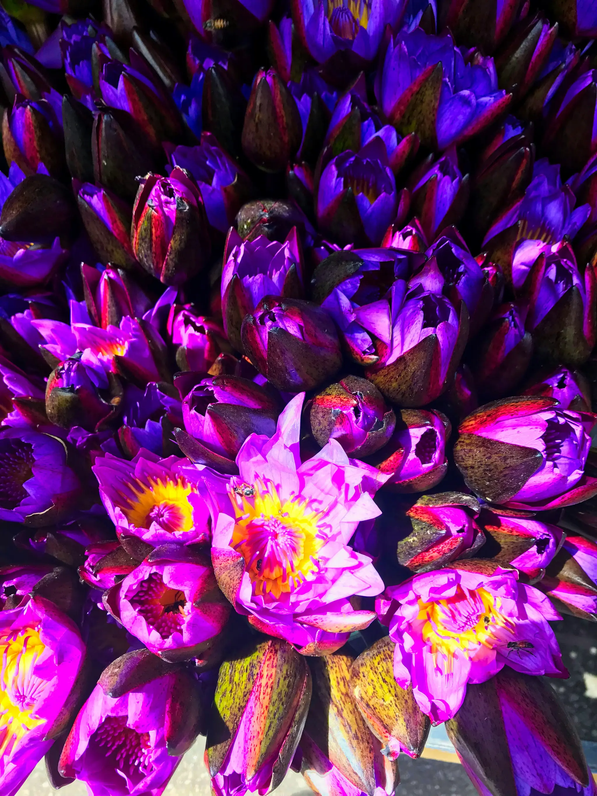 Street Flower Vendor, Kandy, Sri Lanka.